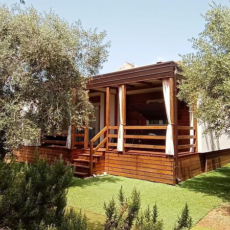 Mobile Homes Olive And Sea Bibinje Extérieur photo