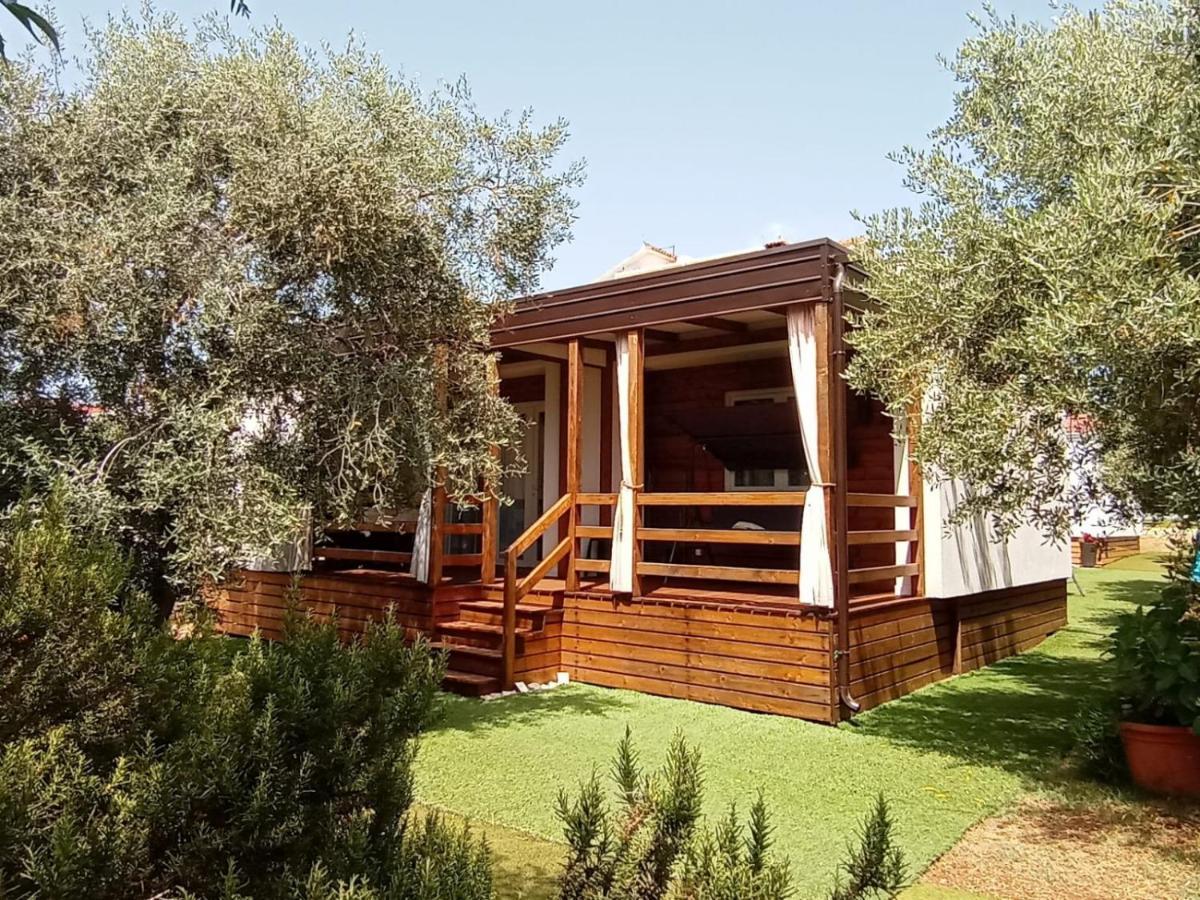 Mobile Homes Olive And Sea Bibinje Extérieur photo